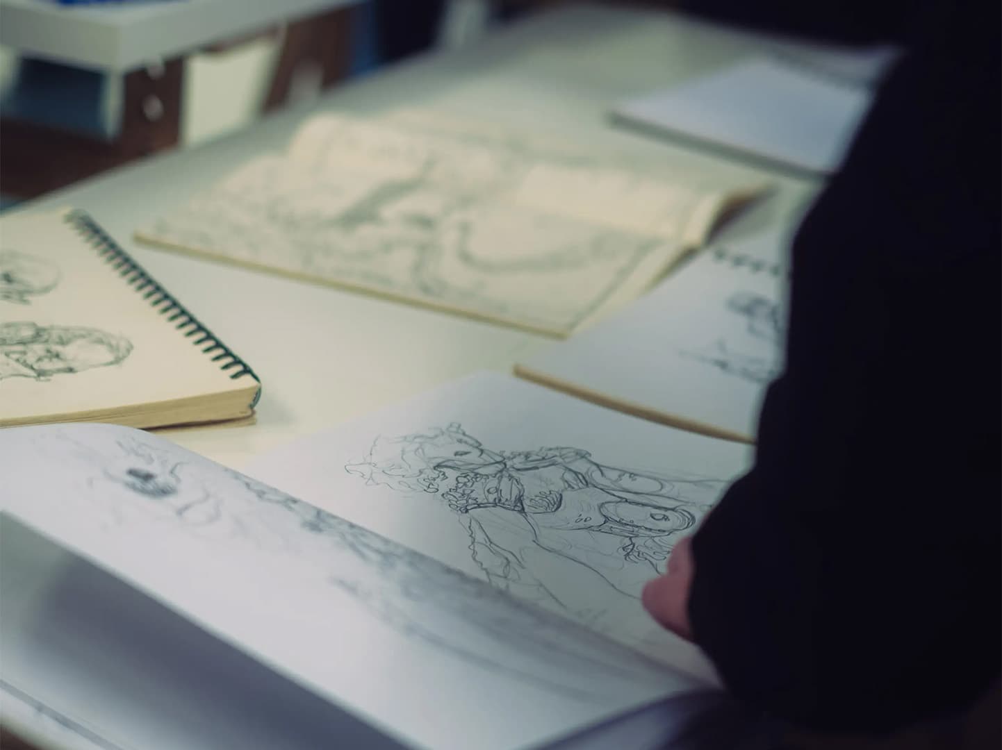 Illustrations et carnets de croquis présentés pendant Interlude