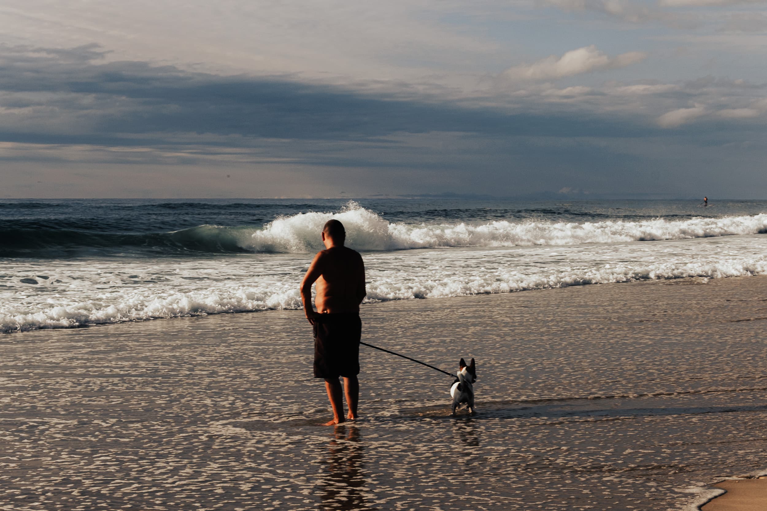 Homme et chien face à l’océan